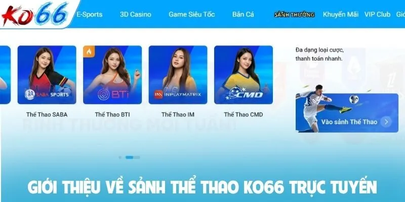 Giới thiệu về sảnh thể thao KO66 trực tuyến