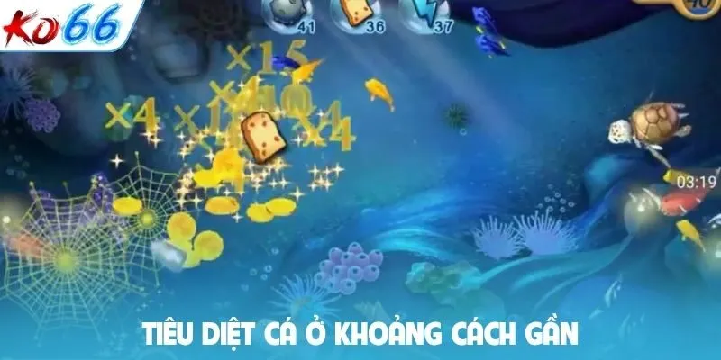 Tiêu diệt cá ở khoảng cách gần